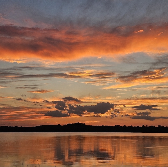 Meet your Posher, Lamar - Picture 2 of 4